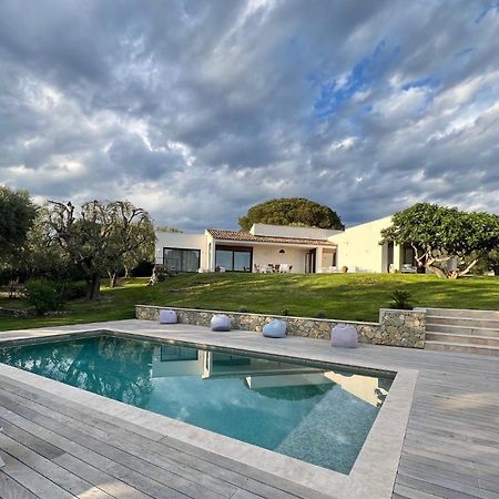 Magnifique Villa Moderne Avec Piscine La Gaude Kültér fotó