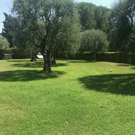 Magnifique Villa Moderne Avec Piscine La Gaude Kültér fotó